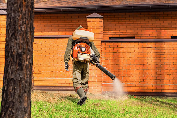 Trusted Mosquito Control service in Dayton, NV - Nex Pest Control
